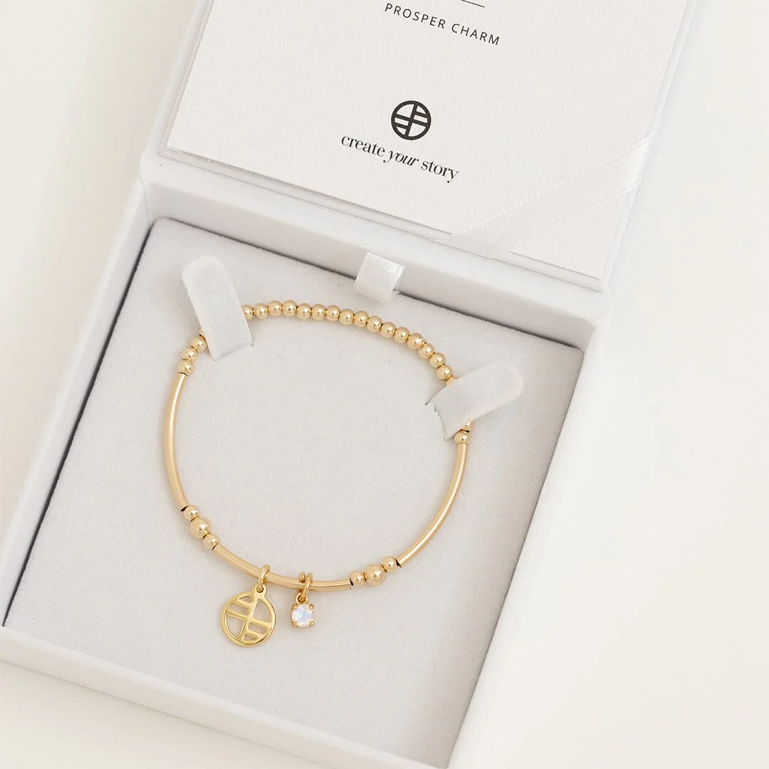 Prosper Charm Bracelet - Image 5